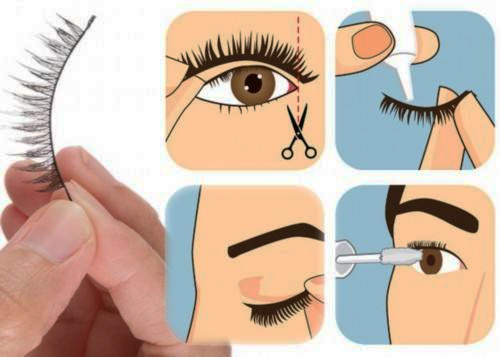 steps for apply mink lashes