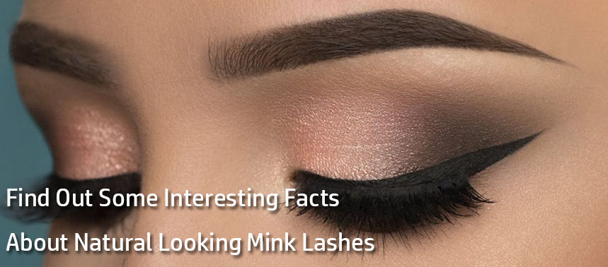 What are Mink Eyelashes? Find Out Some Interesting Facts about Natural Looking Mink Lashes